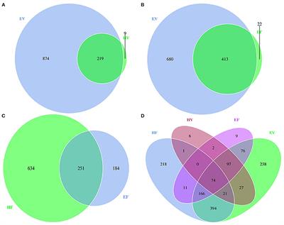 Effect of Sow Intestinal Flora on the Formation of Endometritis